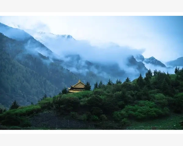 高血压脾胃虚弱，这些粥品适合你