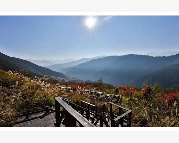 成人有什么化痰贴？了解中医科普解决痰湿困扰